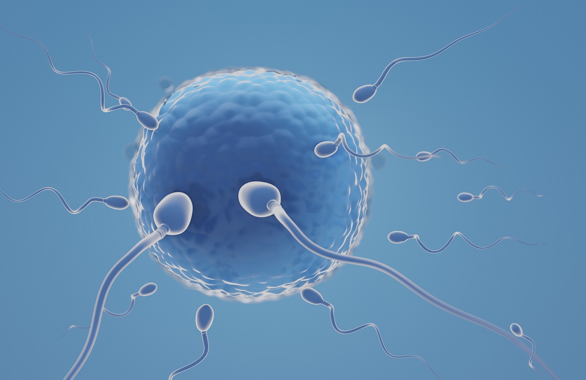 IVF Treatment